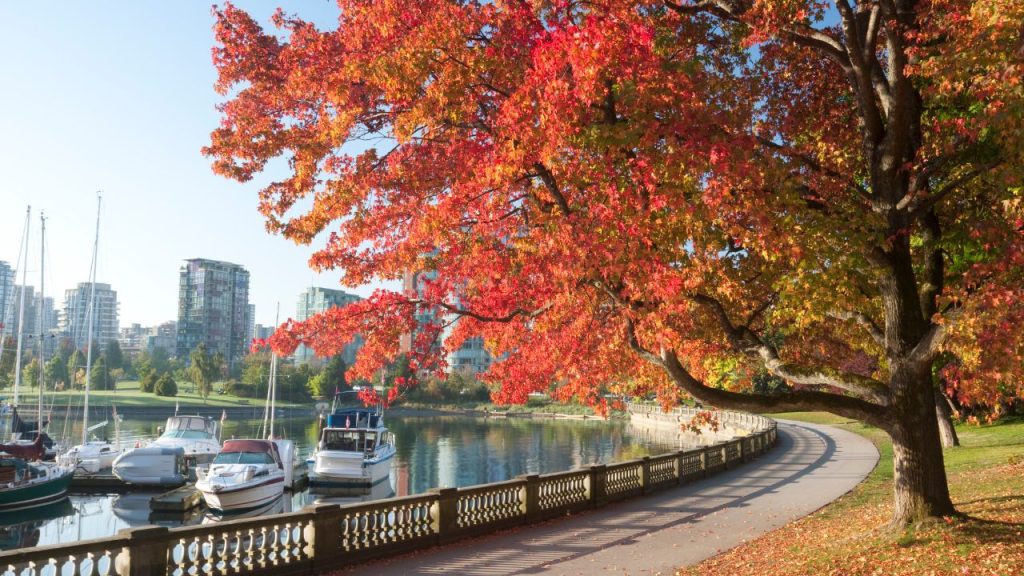 Vancouver-Standly park 加拿大遊學 語言學校 打工遊學 x GLC鉅霖駐點服務 落地接機 市區導覽 銀行開戶 手機網路 好玩景點