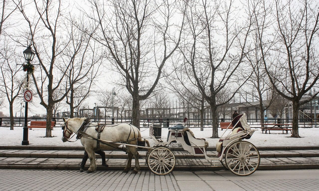 2026 加拿大各城市氣候懶人包|選對城市,遊學生活更舒適!