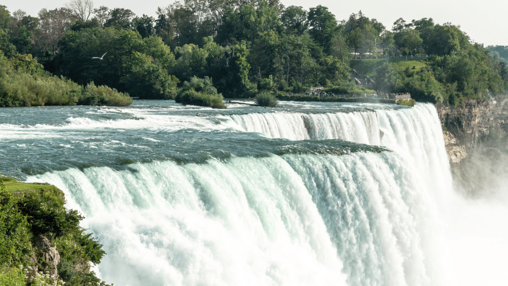 RCIIS樂齡遊學課後活動-GLC鉅霖遊學