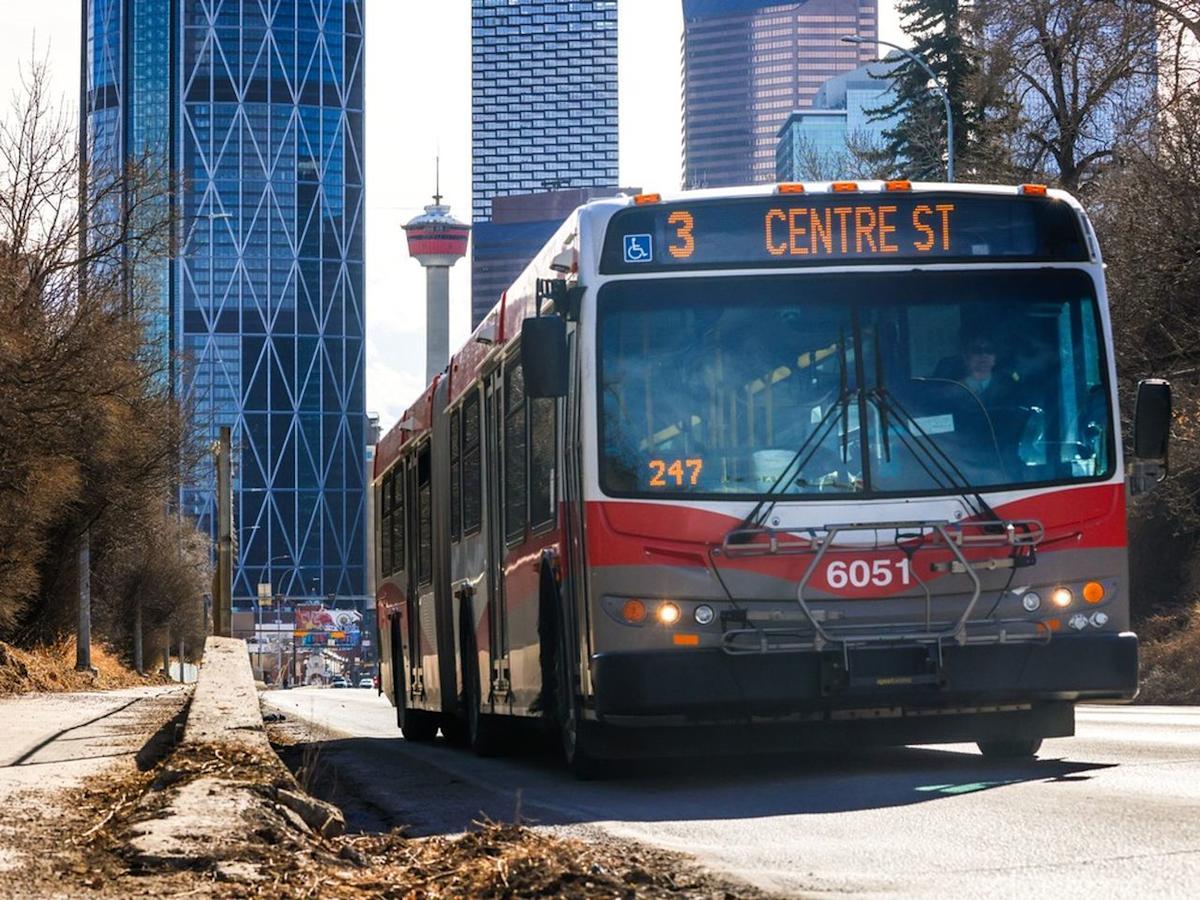 Calgary Transit Bus 公車