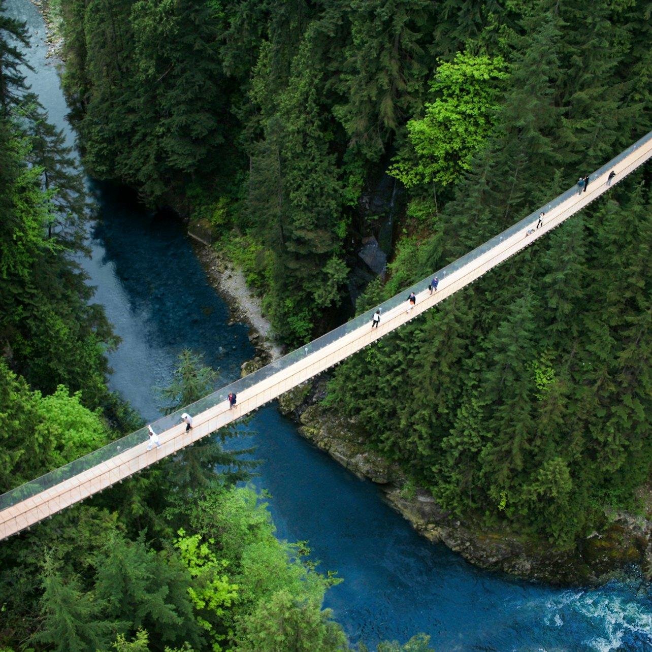 Capilano Suspension Bridge 卡皮拉諾吊橋