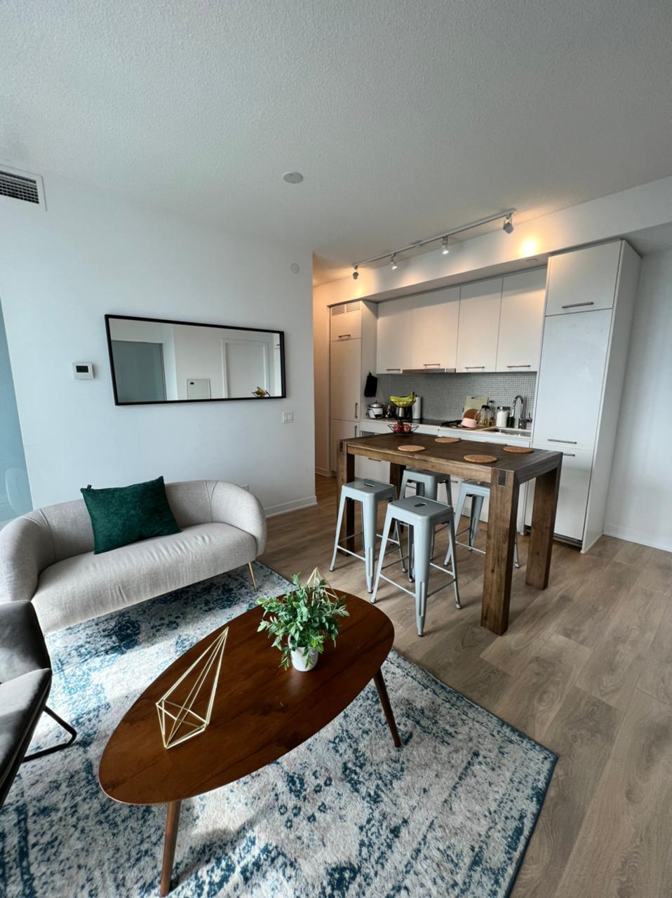 University of Toronto Student Apartment 多倫多校外學生公寓