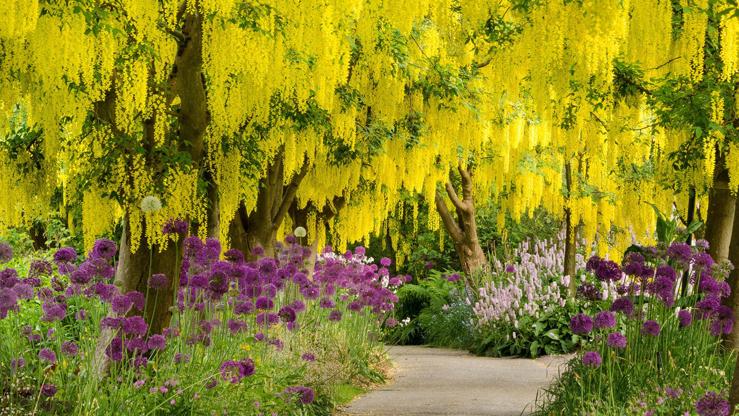 VanDusen Botanical Garden 范度森植物園