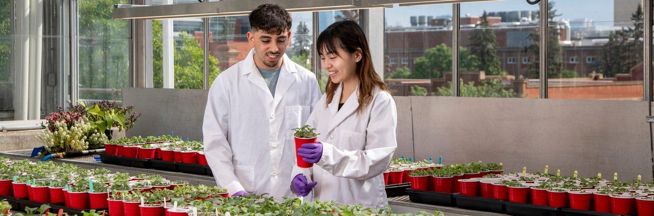 University of Alberta Agriculture Life and Environmental Sciences