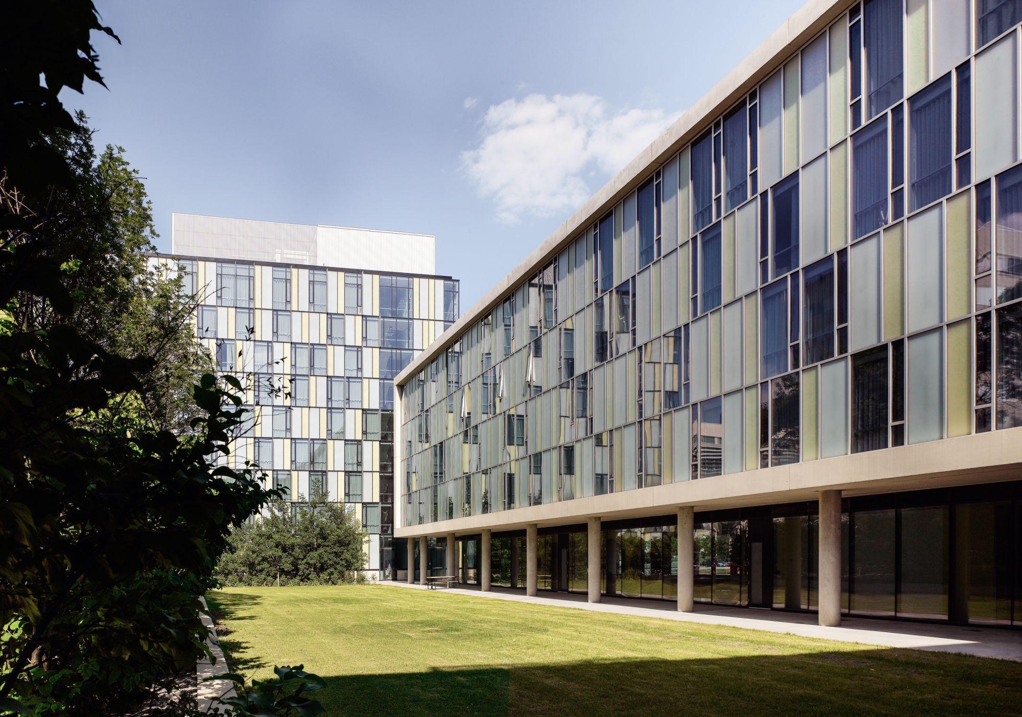 York University Undergraduate Residence 大學部宿舍