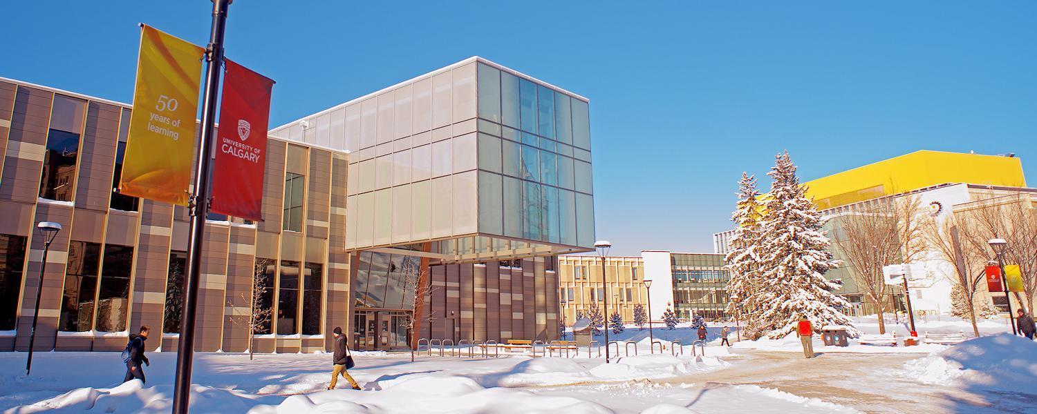 University of Calgary 卡加利大學