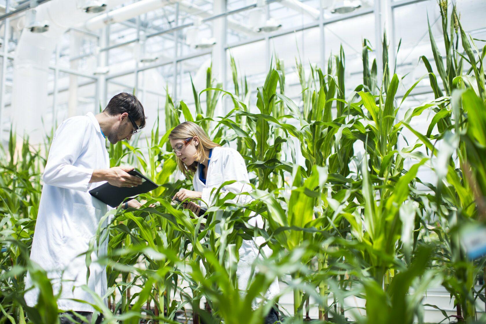 農業生物科技 Agricultural Biotechnology